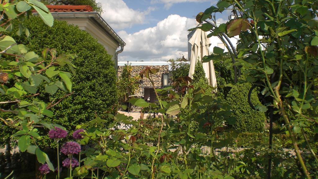 Rosa 3* Allershausen