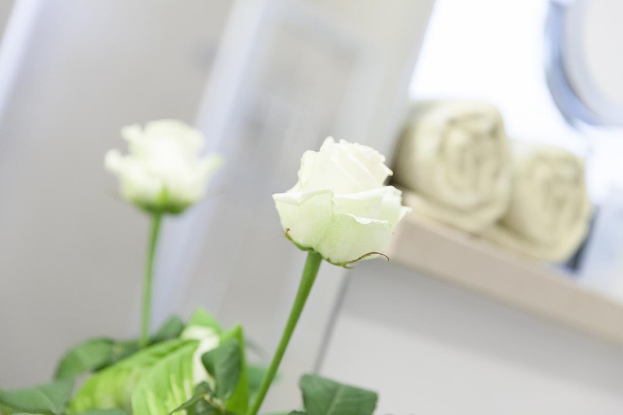 Rosa 3*